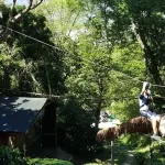 Wild Monkey Adventure Jungle Zipline Experience in Hualien