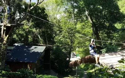 Wild Monkey Adventure Jungle Zipline Experience in Hualien