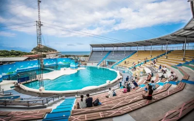 Yehliu Ocean World Ticket in New Taipei