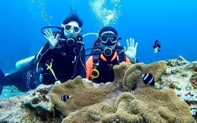 Diving Experience in Xiaolliuqiu, Pingtung by Travel Light Bubble Diving Center