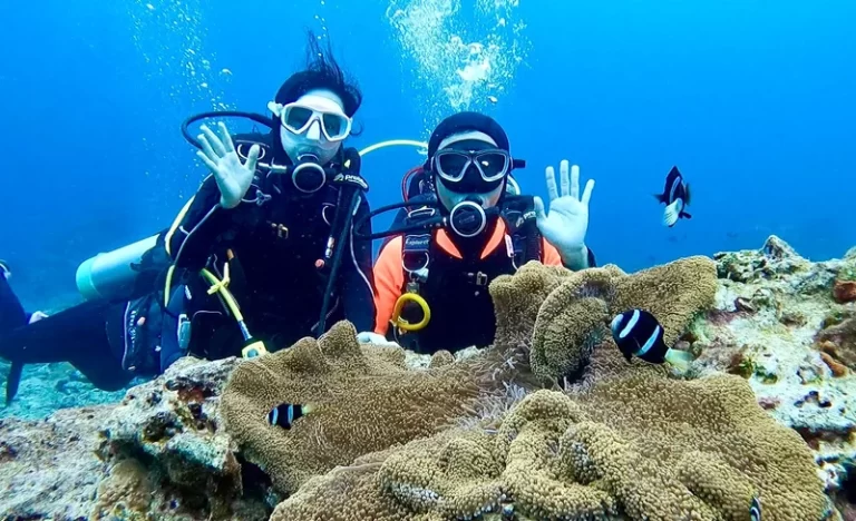 sr0fm5af98fe3efih8a4