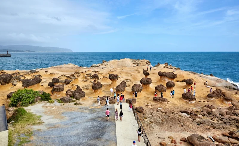 Northeast Coast Gold Coastline Day Tour in New Taipei