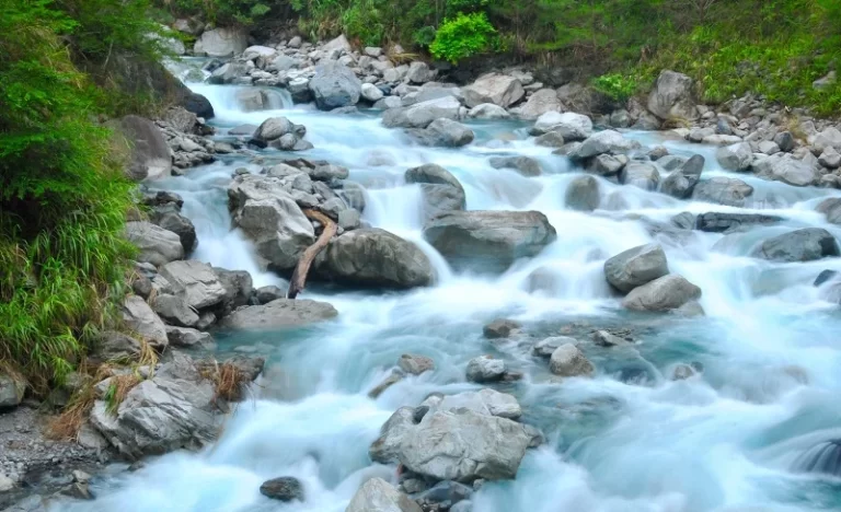 sxlvxxe7tb8wlq9r7v8m