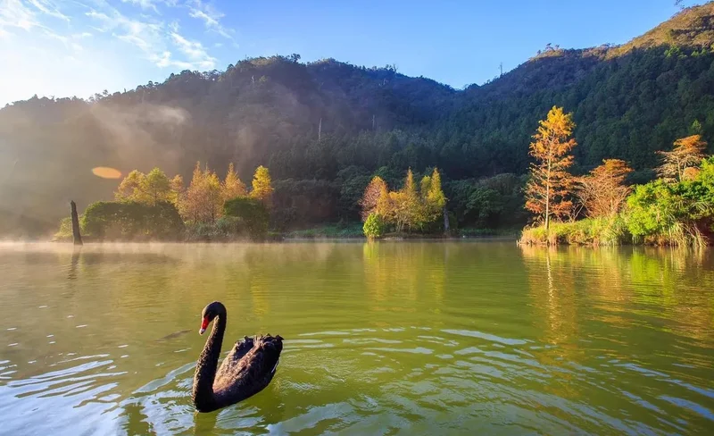 [Muslim-Friendly] Taipingshan and Jiuzhize Hot Spring Private Tour