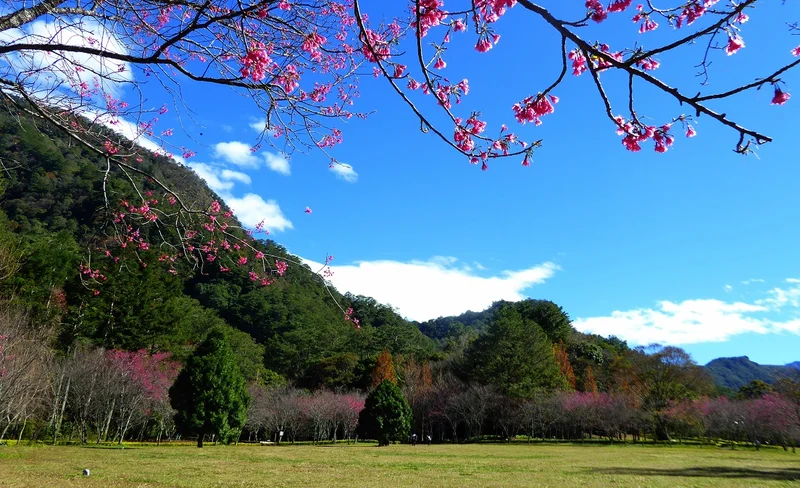 Nantou Taiyi Ecological Leisure Farm: Tickets and Fruit Picking Experience