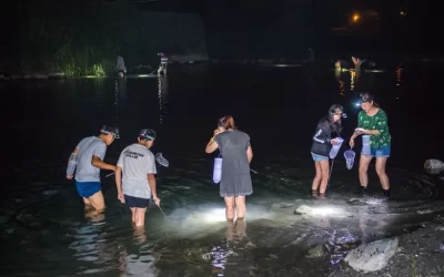 Hualien | Shrimp Catch & BBQ Experience at Night