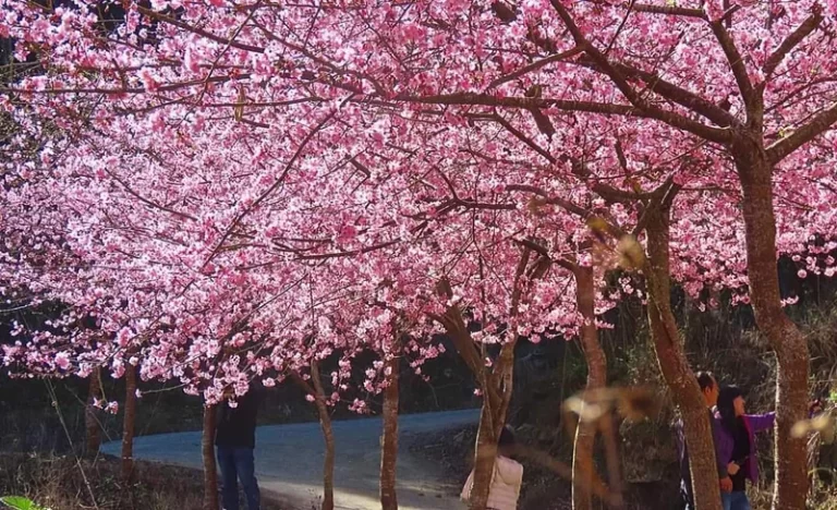 tn6ta1q8a98t19e6je3p