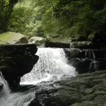 Full Moon National Forest Recreation Area Tickets