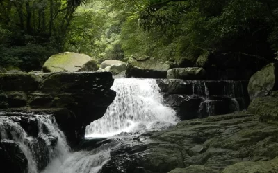 Full Moon National Forest Recreation Area Tickets