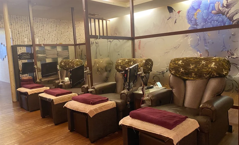 Taichung: Wufeng Mushroom Industry and Academia Center Tickets
