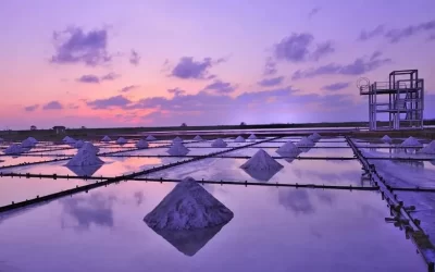 Ten Drum Cultural and Creative Park & Chigu Salt Mountain & Jingjiaozai Salt Field & Dadong Night Market Day Tour (Departure from Kaohsiung)