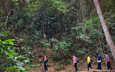 Taitung: Dawu Mountain Pig Cave Secret Tour