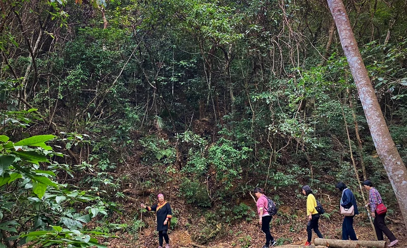 Green Island SUP and Canoe Experience in Taitung