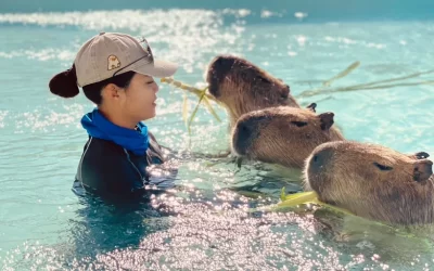 Tickets for Kenting Luyu Island Capybara Ecological Park