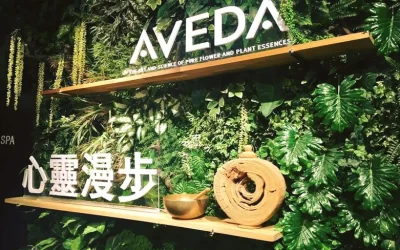 Taipei and Taichung AVEDA SPA Oil Massage and Hand Massage