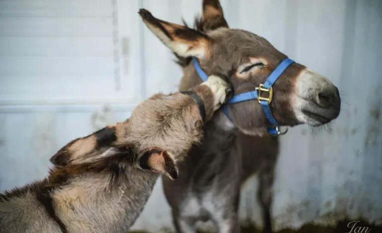 wccalq35s9xxcfudaaw2