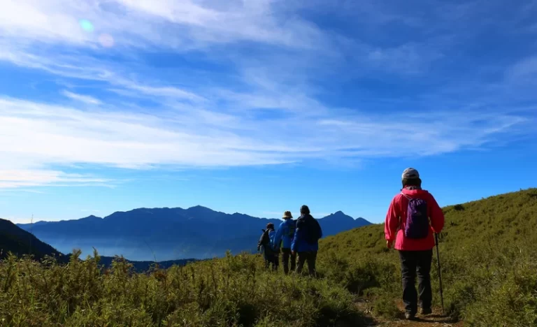 wfkqsdawtratmaiq3goc