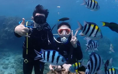 Try Diving, Fun Dive & OW Diver Course in Kending