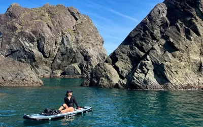 Yilan: Dong'ao Bay Pink Bird Forest - SUP Experience (Sunday session/General session)