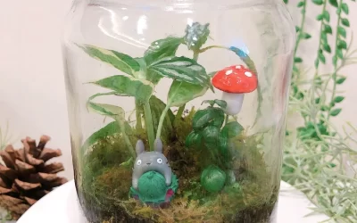Plant Terrarium DIY Experience in Taichung