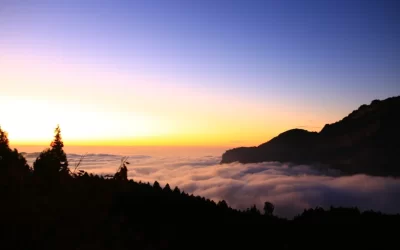 [Muslim-Friendly] Sun Moon Lake & Alishan 3-Day Tour from Taipei