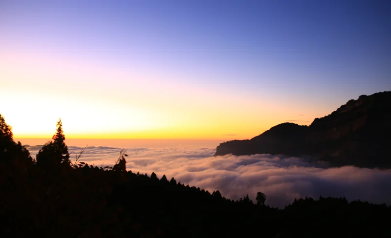 Nantou Xitou: Xitou Ecological Exploration Experience at Night