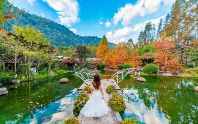 Nantou Taiyi Ecological Leisure Farm: Tickets and Fruit Picking Experience