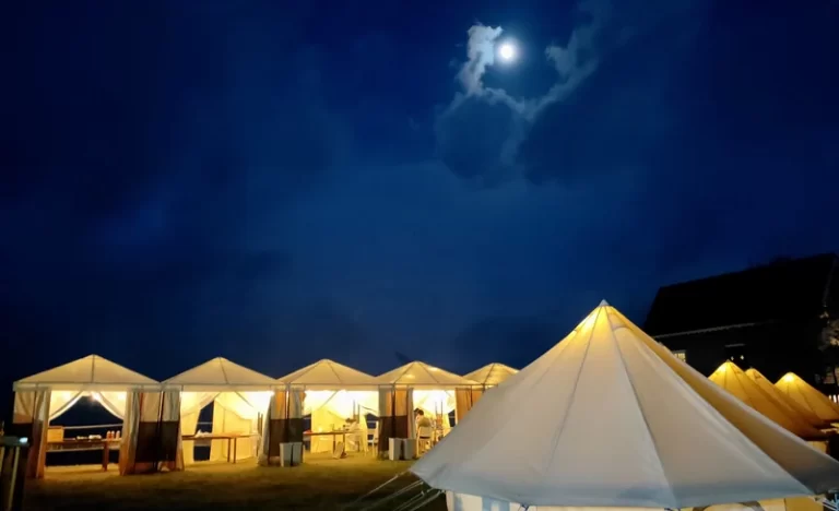 xaz6otpxxbmgt9jfv0cy