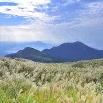 Yangmingshan National Park & National Palace Museum Day Tour