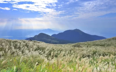 Yangmingshan National Park & National Palace Museum Day Tour