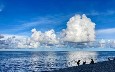 Hualien: Whale Watching & Mountain and Sea Relaxation Day Tour