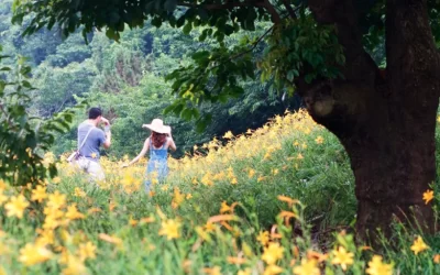Muxinquan Leisure Farm ticket in Taichung