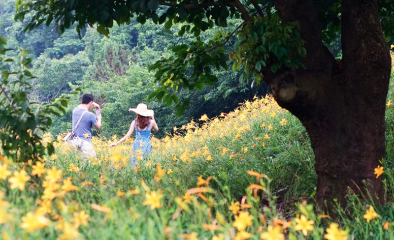 Taichung Tour Package Tickets of 3 popular attractions x 7 selected story halls DIY experience (choose 2+2)