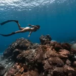 Green Island Free Diving Experience in Taitung
