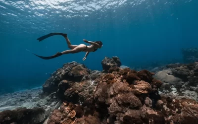 Green Island Free Diving Experience in Taitung