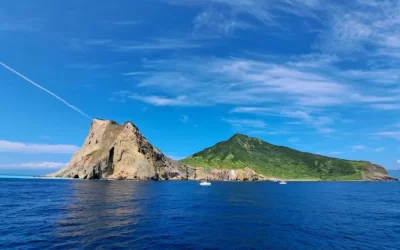 Yilan Chartered One-Day Tour - Guishan Island Whale Watching + Qingshui Geothermal (Departing from Taipei)
