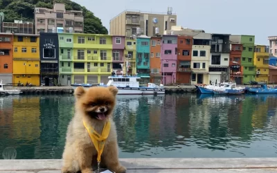 Northeast Coast Instagram Tour in New Taipei