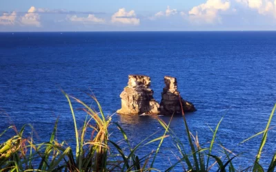 Taipei: Jinshan Hot Spring & North Coast & Yangmingshan Day Tour