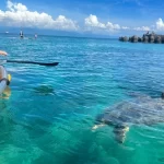 Xiaoliuqiu baby turtle water sports/snorkeling/canoeing/SUP board/experience deep diving (free photo)