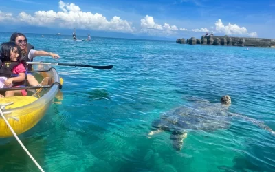 Xiaoliuqiu baby turtle water sports/snorkeling/canoeing/SUP board/experience deep diving (free photo)