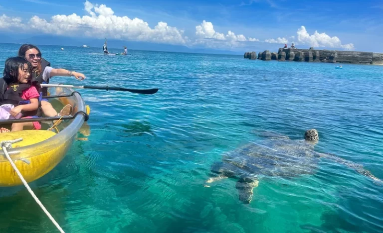 zvxofta5rx32ghfz7kvp