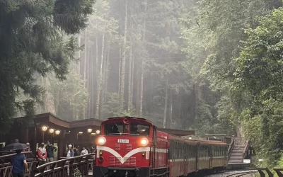 Alishan One Day Tour from Taichung