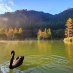 Magao Ecological Park Ticket (Qilan Forest Recreation Area)